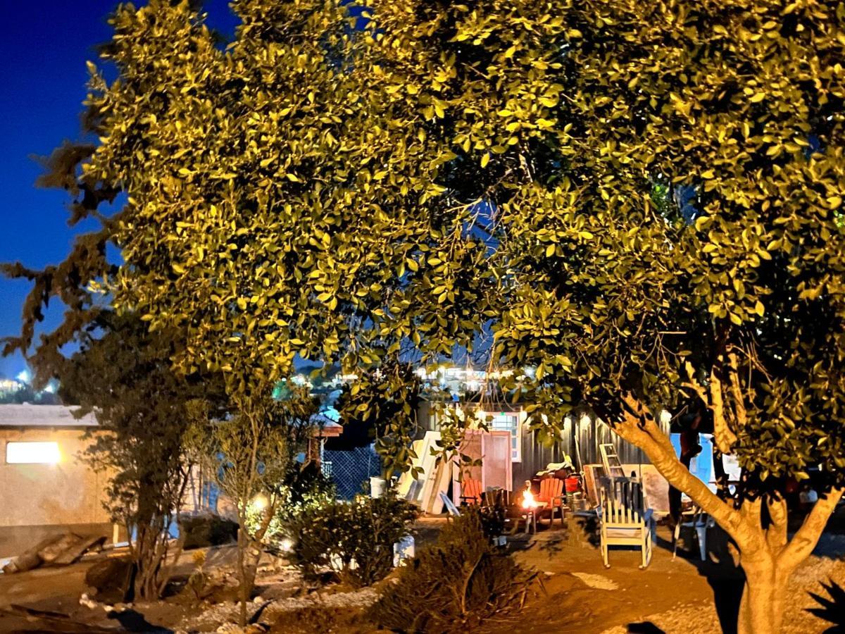 Ecovino فالي دي جوادالوبي المظهر الخارجي الصورة